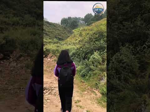 YouTube preview