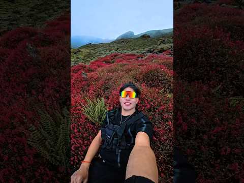 YouTube preview
