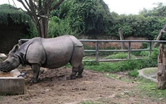 Central Zoo photo
