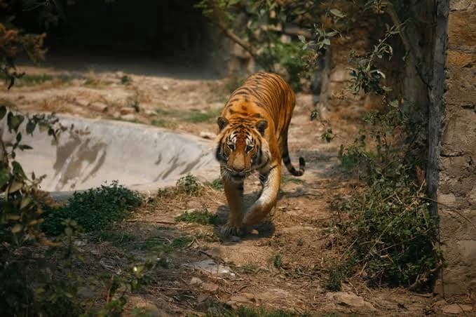 Central Zoo photo