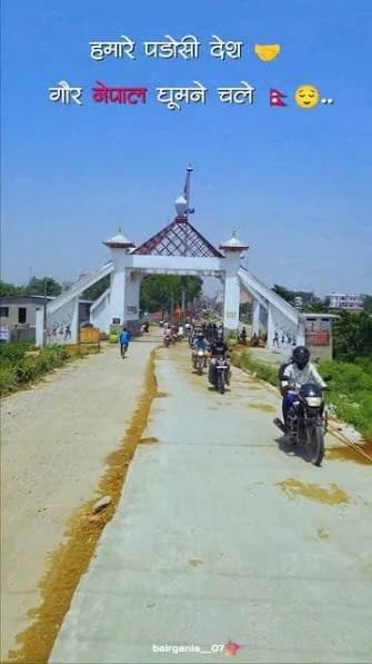 Gaur photo