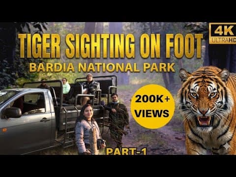 YouTube preview