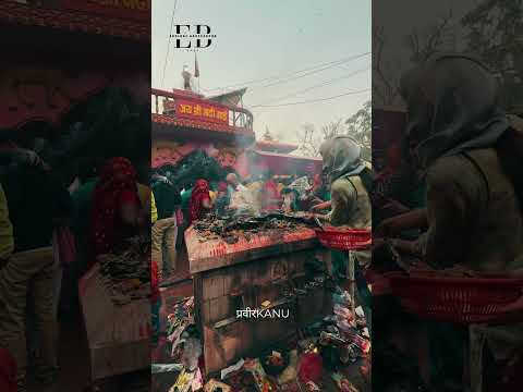 YouTube preview