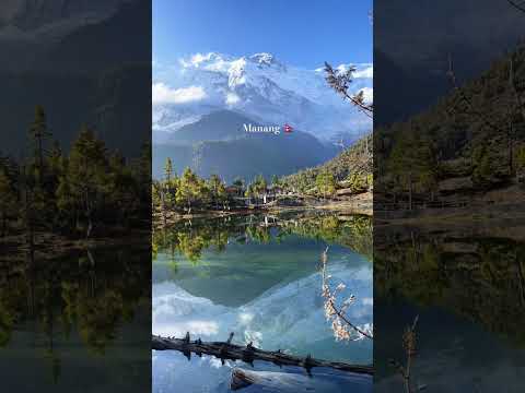 YouTube preview