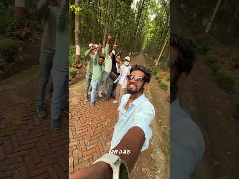 YouTube preview