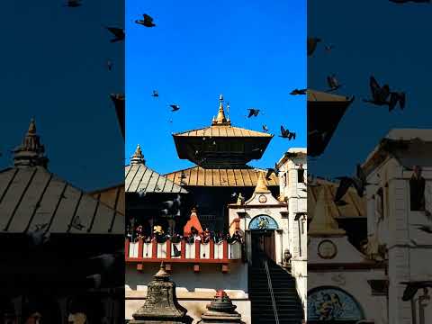 YouTube preview