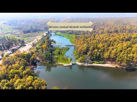 YouTube preview