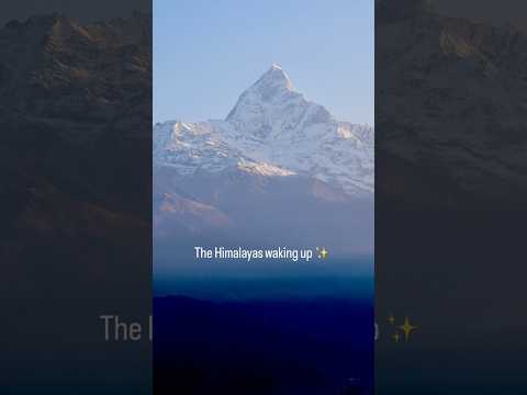 YouTube preview