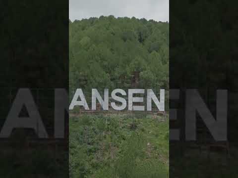 YouTube preview