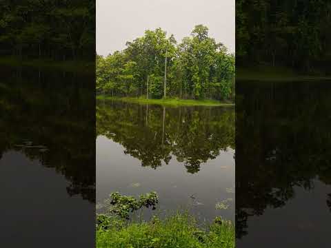 YouTube preview