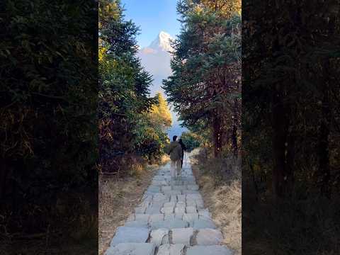 YouTube preview