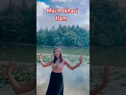 YouTube preview