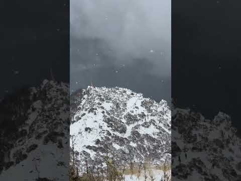 YouTube preview