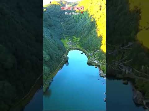 YouTube preview