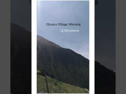 YouTube preview