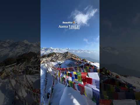 YouTube preview