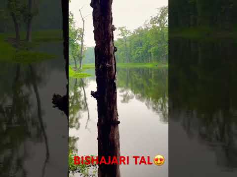 YouTube preview