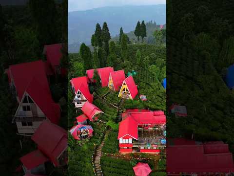 YouTube preview