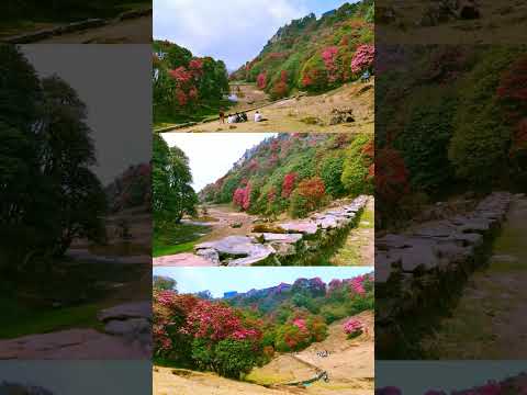YouTube preview