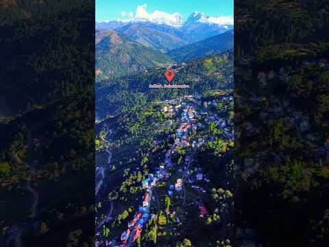 YouTube preview