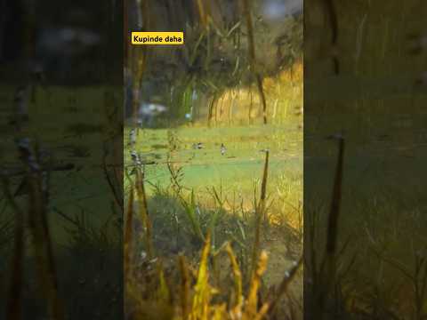 YouTube preview