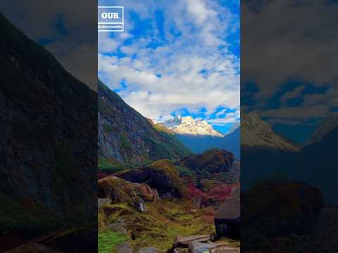 YouTube preview