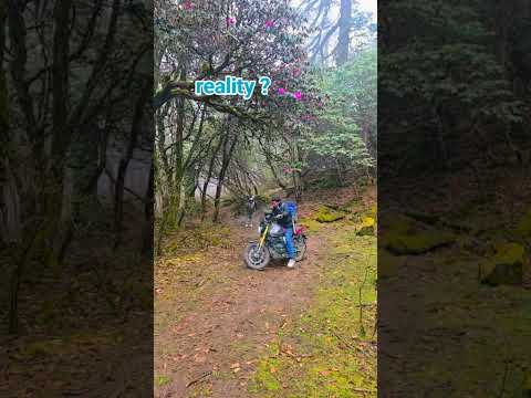 YouTube preview
