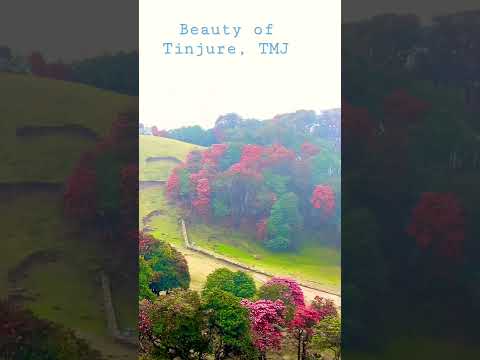 YouTube preview
