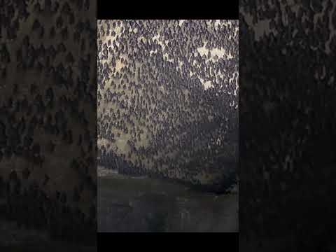 YouTube preview