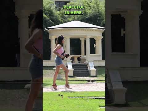 YouTube preview