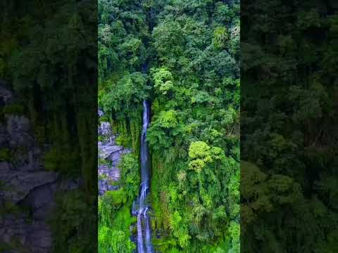 YouTube preview