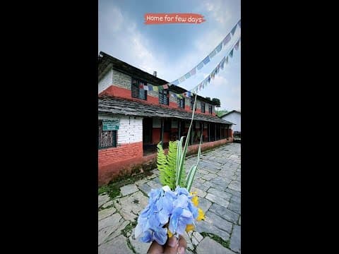YouTube preview