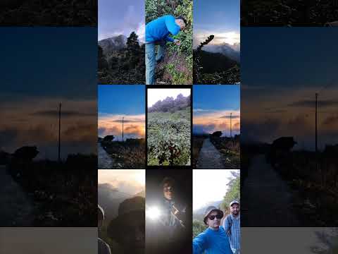 YouTube preview
