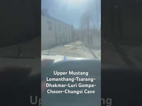 YouTube preview