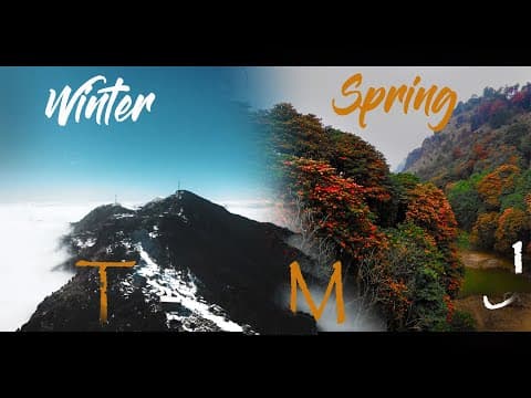 YouTube preview