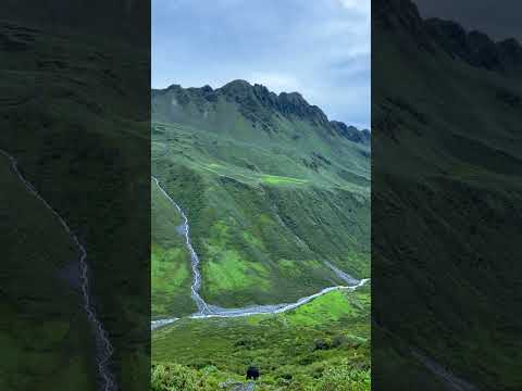 YouTube preview