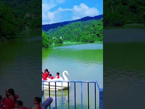 YouTube preview