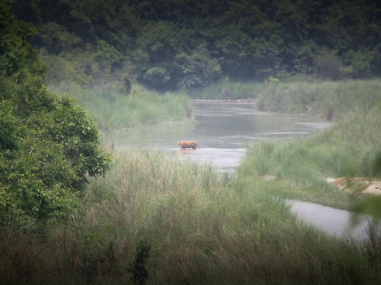 Bardia National Park