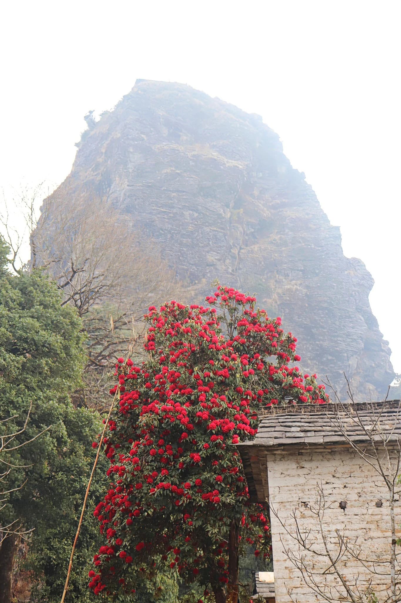 Dahere Deurali (Dahere Hill & Bhagwati Temple)