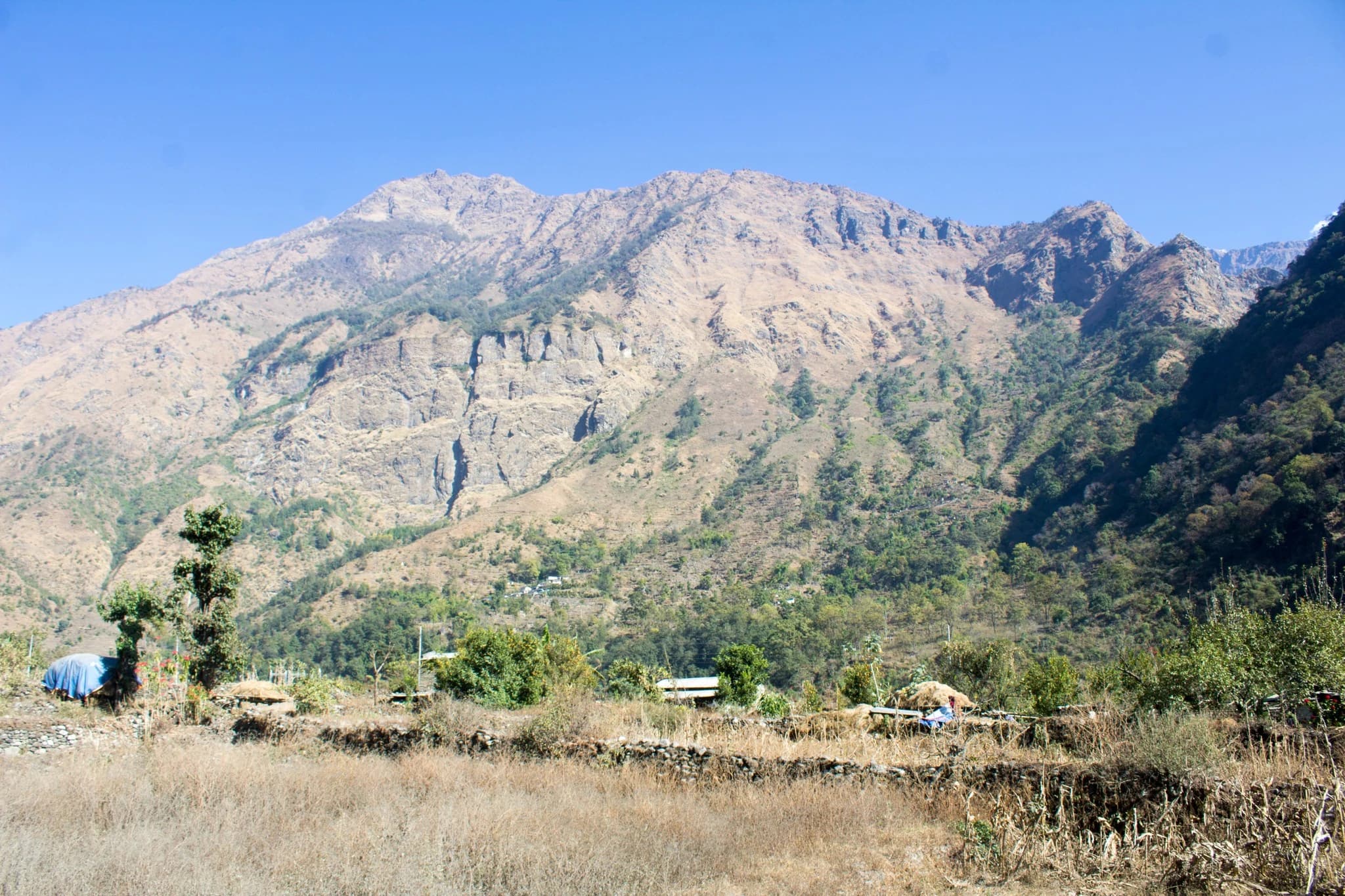 Dana Village