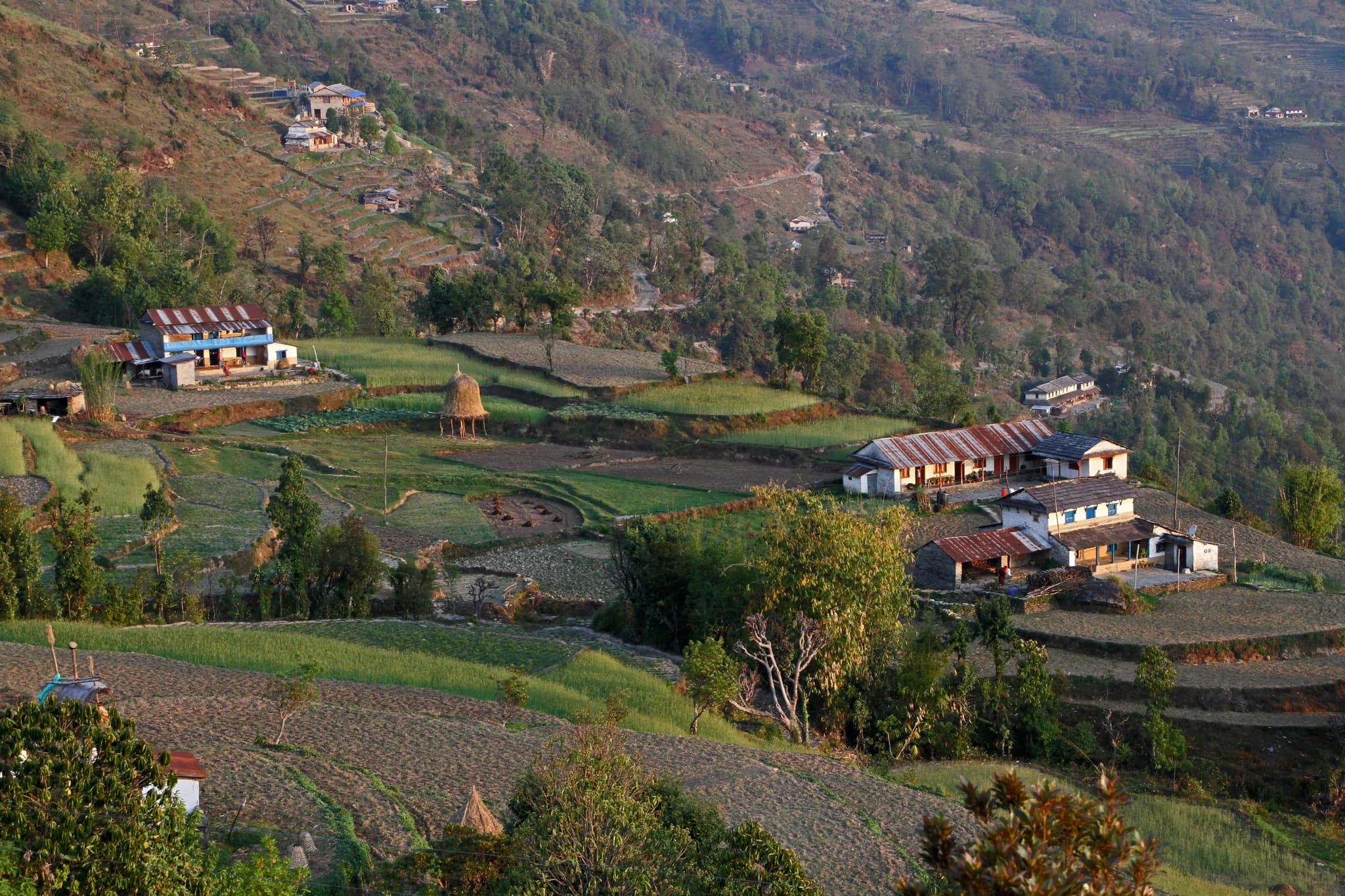 Dhampus Village
