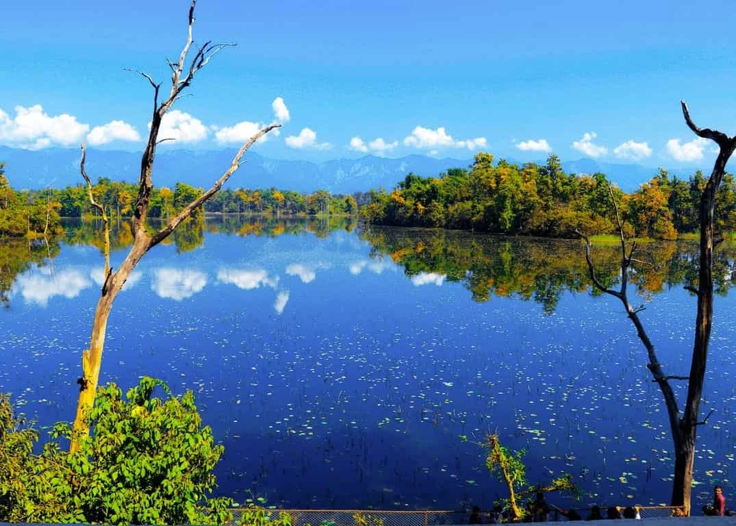 Ghodaghodi Lake Complex
