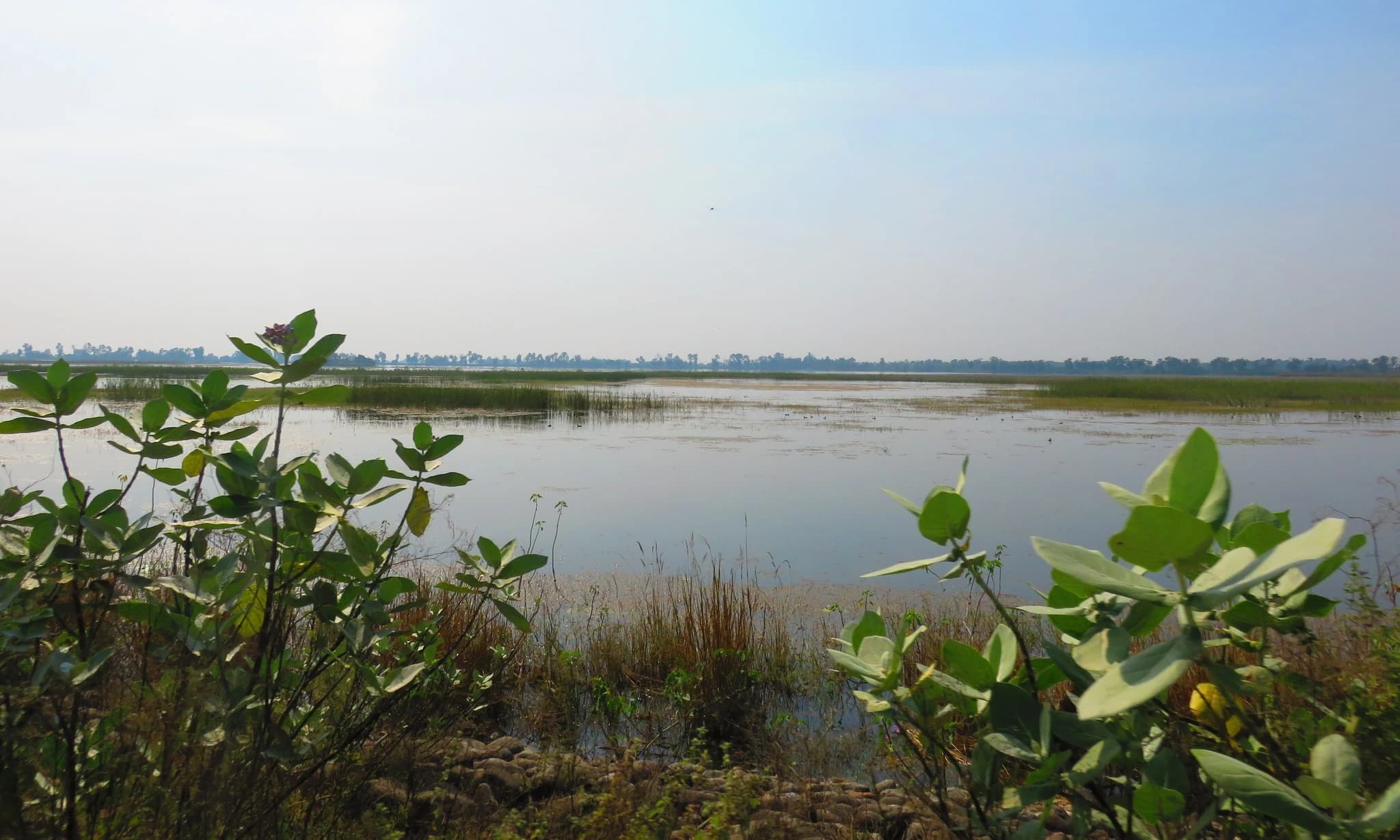Jagdishpur Reservoir