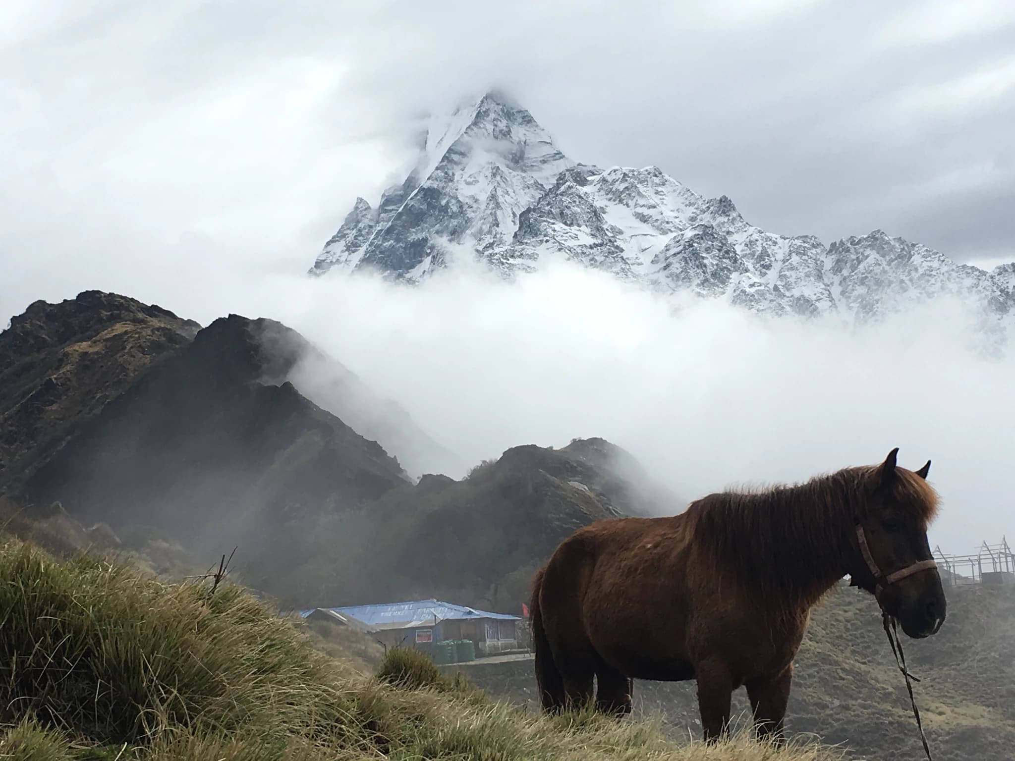Mardi Himal Trek