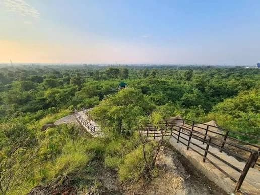 Mirchaiya Hill Park