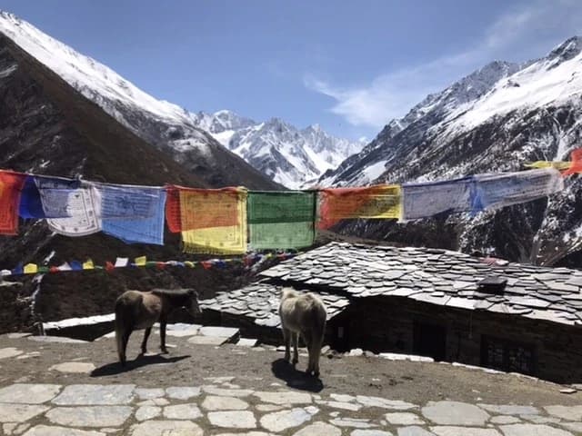 Mu Gompa