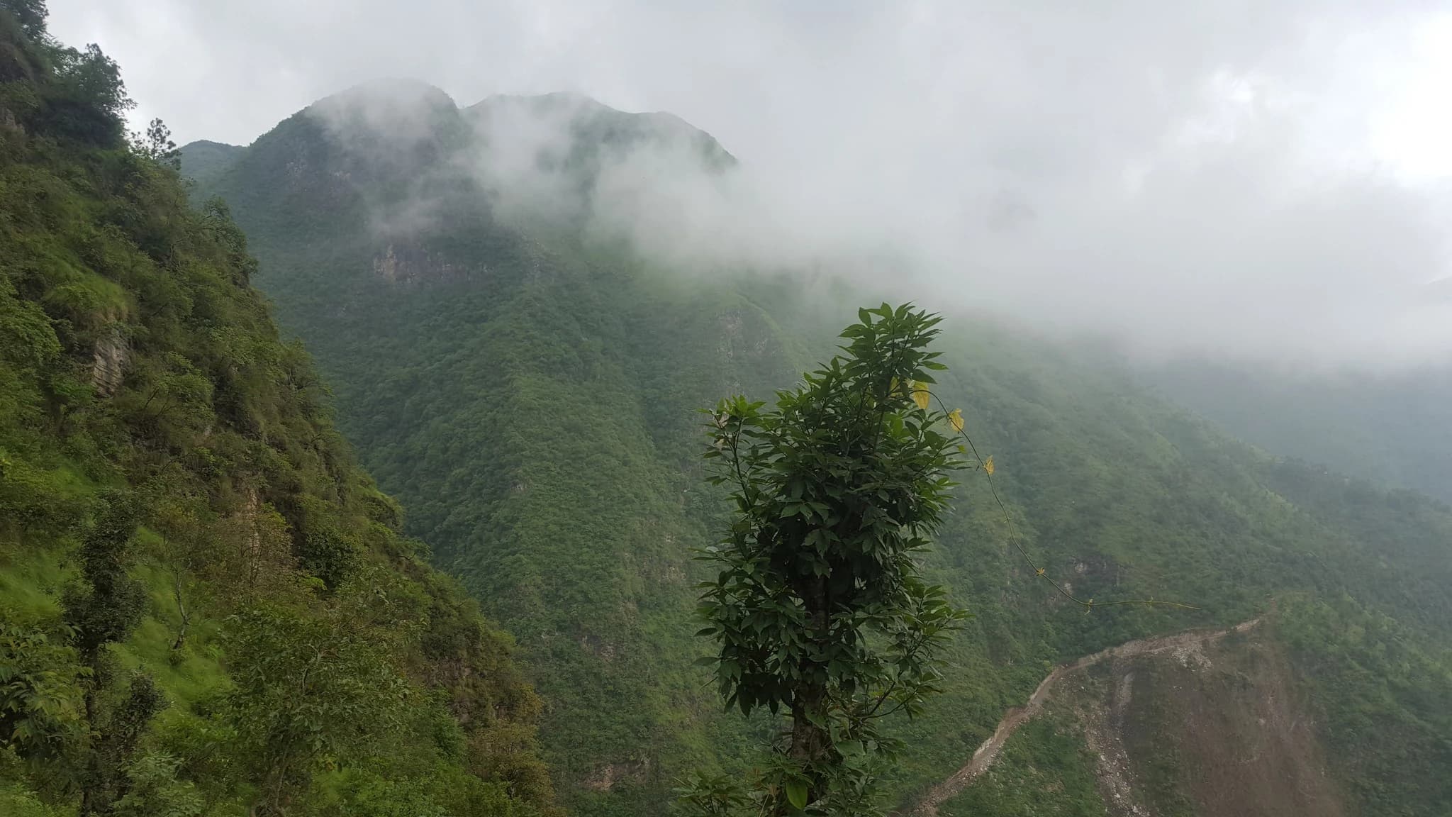 Narapani Viewpoint