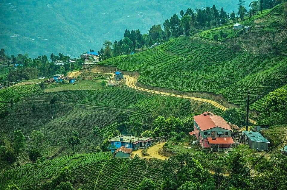 Phikkal Bazaar
