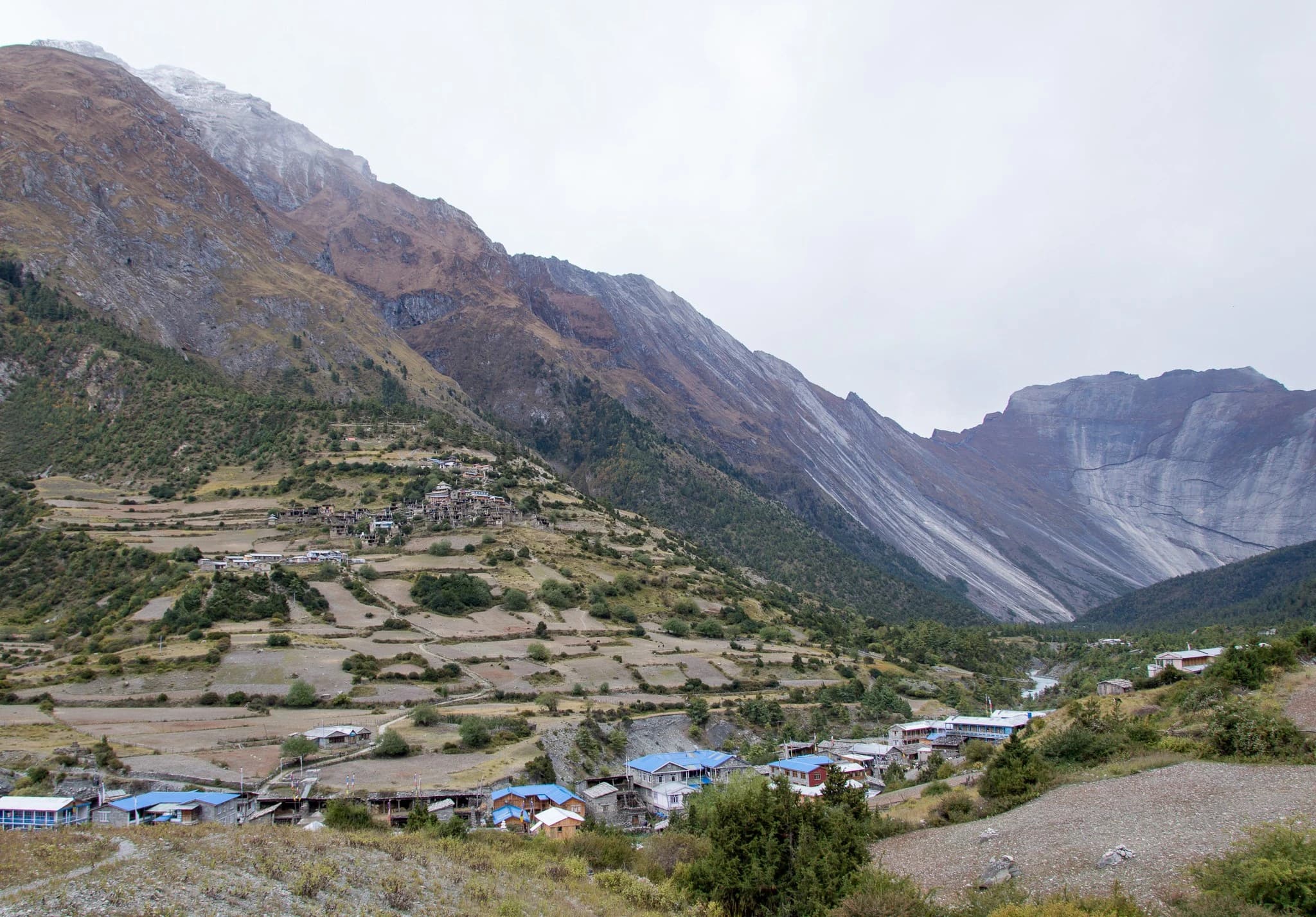 Pisang Village
