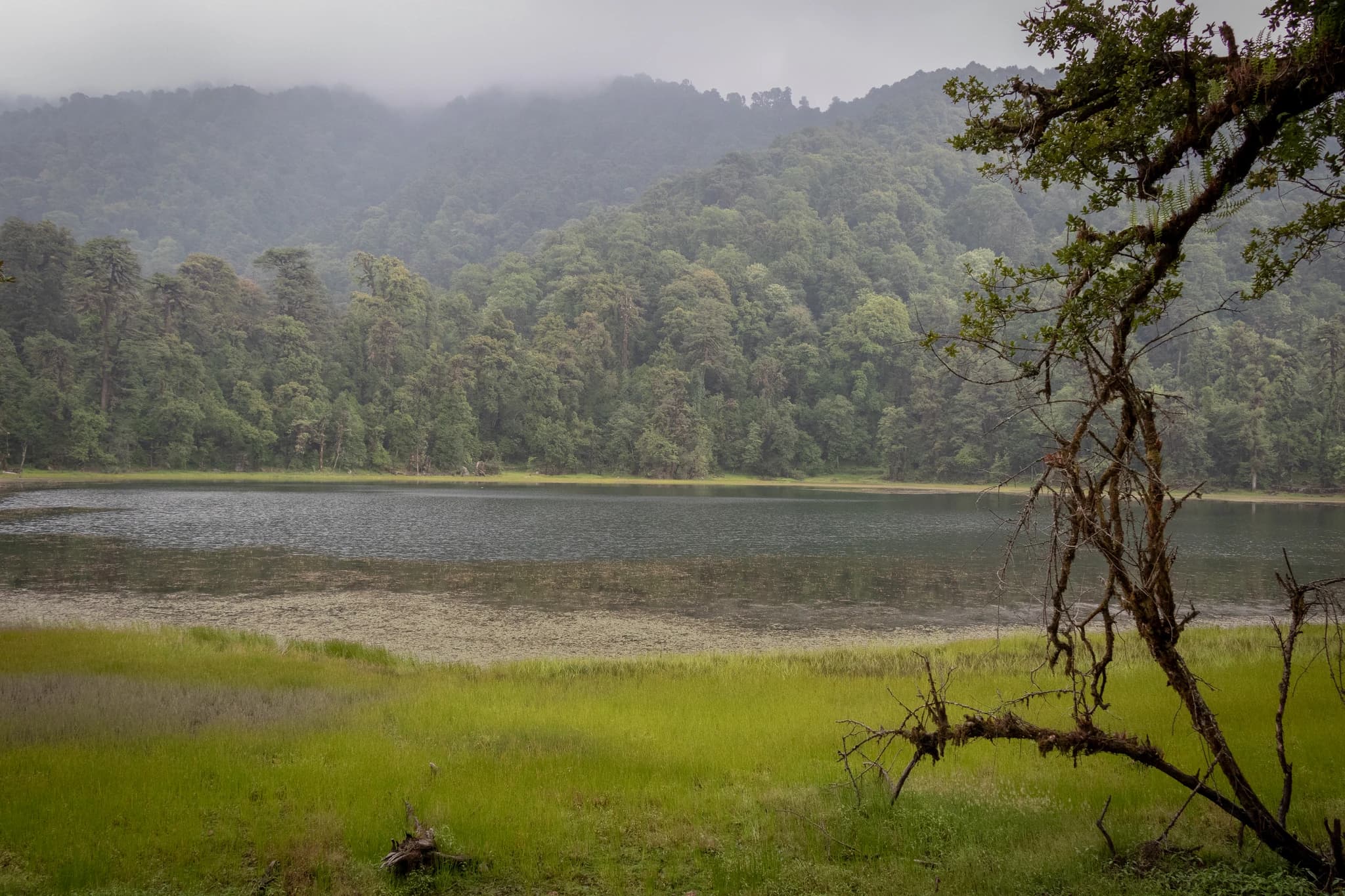 Ramaroshan Wetland Complex